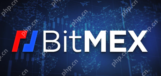 BitMEX交往平台官网进口网址 - php汉文网