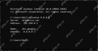 Windows 11 用 nslookup 交叉验证 PTR 结果的真实界面截图