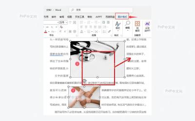 Word 文档中图片被选中并显示控制点,服务于选中图片步骤