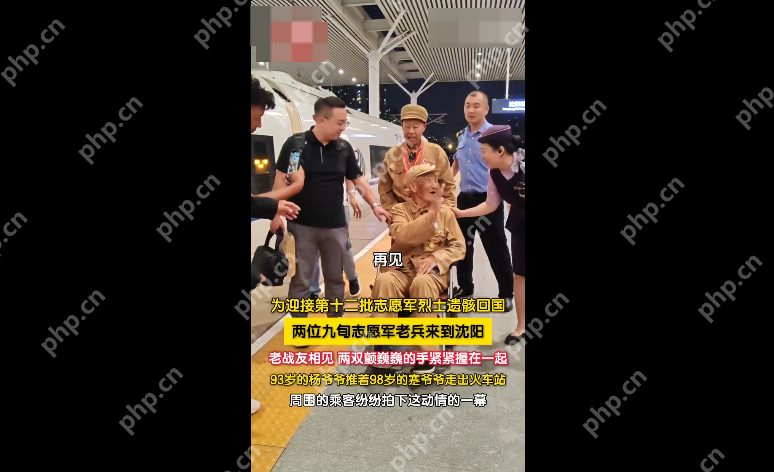 93岁老兵推着98岁老兵一起:两代老兵的生死赴约 - php中文网