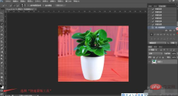 1565746966445144.png PS 마스크를 사용하여 이미지를 잘라내는 방법