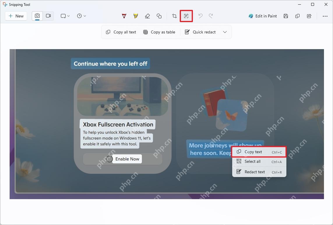Windows 11 截图工具 OCR 后右键菜单中复制文本
