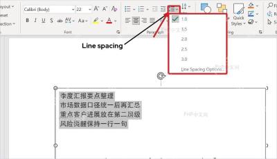 PowerPoint行距按钮展开后选择常用行距数值