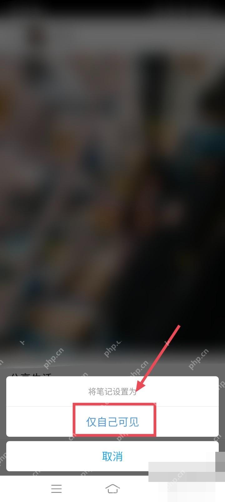 小红书权限弹窗中的仅自己可见选项,用于把笔记改成私密