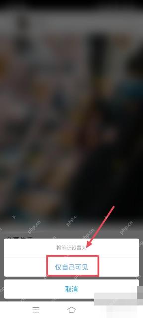 小红书权限弹窗中的仅自己可见选项,用于把笔记改成私密