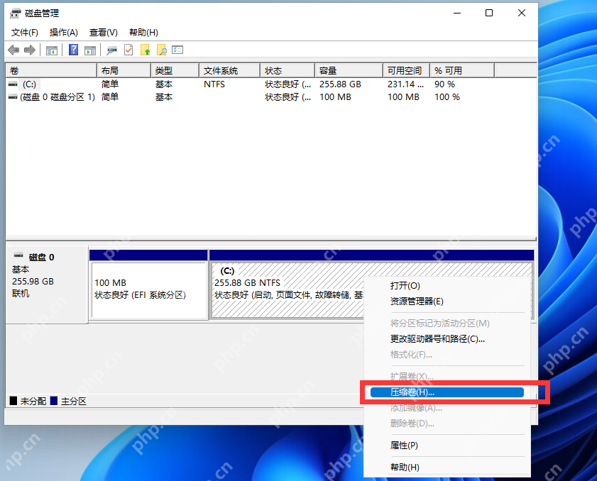 Win11 压缩卷窗口中的可压缩空间和输入框