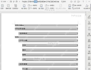 如何设置目录前导符?结果检查