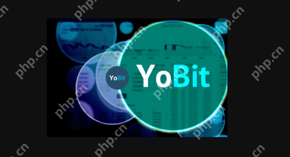 YoBit来往所评价：公司布景、安全性、平台特点、优舛误分析 - php华文网