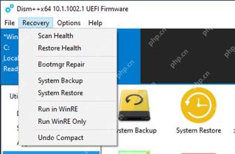 Dism++ Recovery 菜单显示 System Restore 系统还原入口