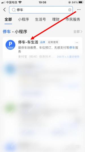 支付宝中文界面：进入停车服务，对应步骤：在搜索结果里点进“停车”服务。只要看到停车服务页，就说明这条查询路径走对了。