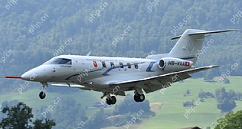 噴氣式飛機(jī)全球銷(xiāo)量排名 2025噴氣式飛機(jī)全球銷(xiāo)量前十名匯總 - php中文網(wǎng)