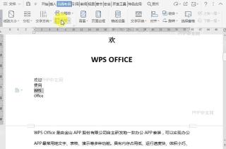 如何在文档添加行号时禁用于当前行号？中间操作