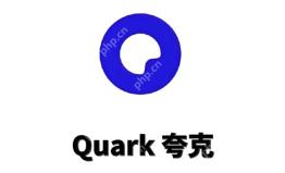 夸克浏览器大片区入口 夸克免费在线看大片视频 - php中文网
