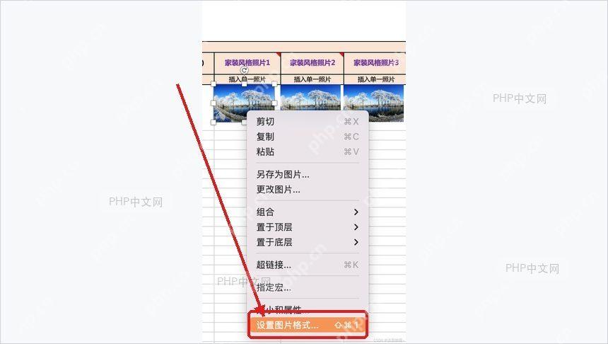 Excel图片右键菜单中选择设置图片格式