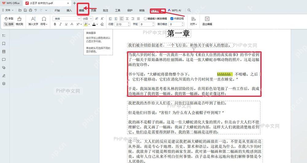 WPS PDF 中文界面文字编辑按钮和被选中的正文文字块,用于修改 PDF 文字