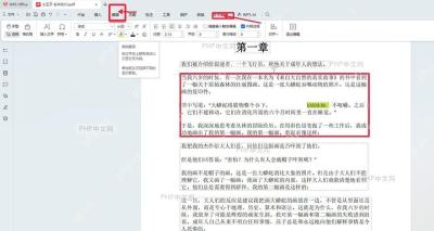 WPS PDF 中文界面文字编辑按钮和被选中的正文文字块，用于修改 PDF 文字