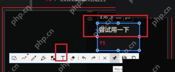 Snipaste Windows 截图工具条高亮文字 T 按钮入口