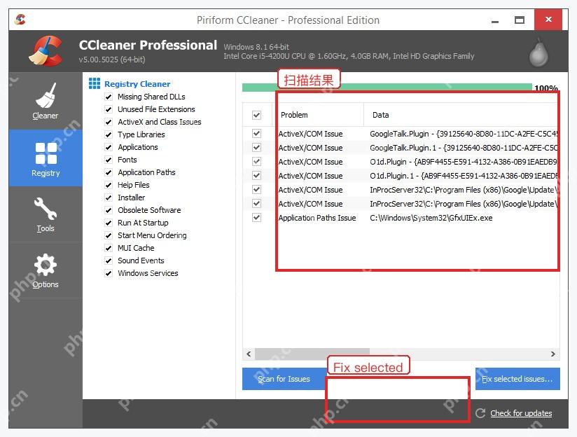 CCleaner Registry Cleaner 扫描完成后的注册表问题列表