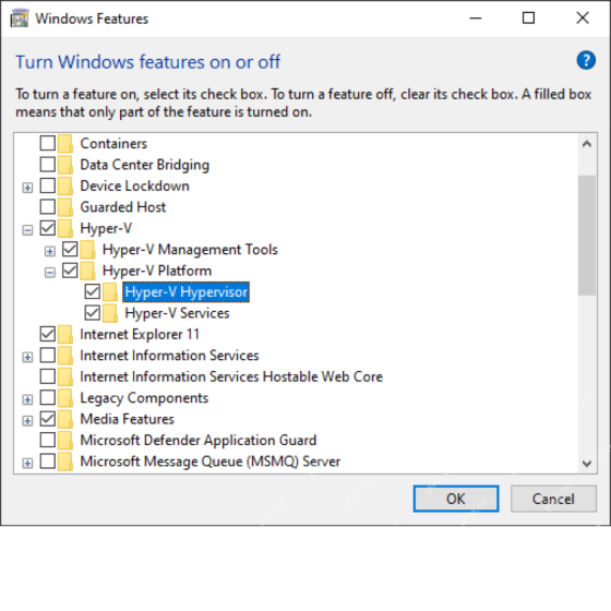 Windows 功能窗口中 Hyper-V Hypervisor 选项位置