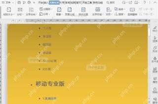如何设置WPS文字背景？结果检查