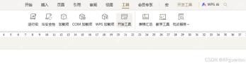 WPS 文字开发工具和宏入口界面