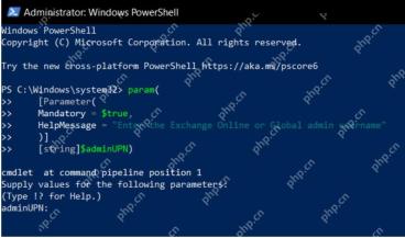 PowerShell ISE 运行带 Mandatory 参数的脚本并显示输入提示
