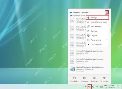 Windows 任务栏 OneDrive 云朵图标打开后进入 Settings 的界面