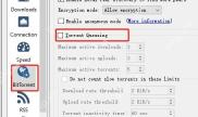 qBittorrent Options 的 BitTorrent 页面显示 Torrent Queueing 和最大活动任务设置