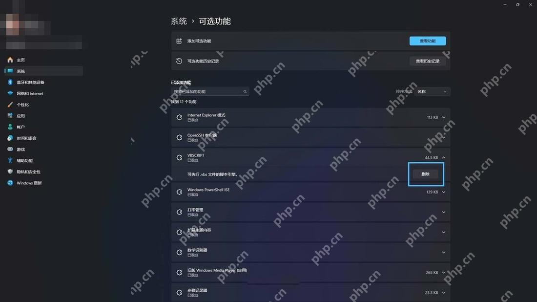 Win11 可选功能页面中的已安装功能列表