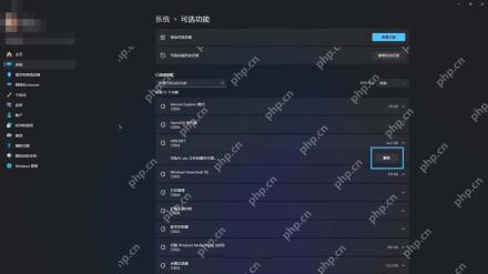 Win11 可选功能页面中的已安装功能列表