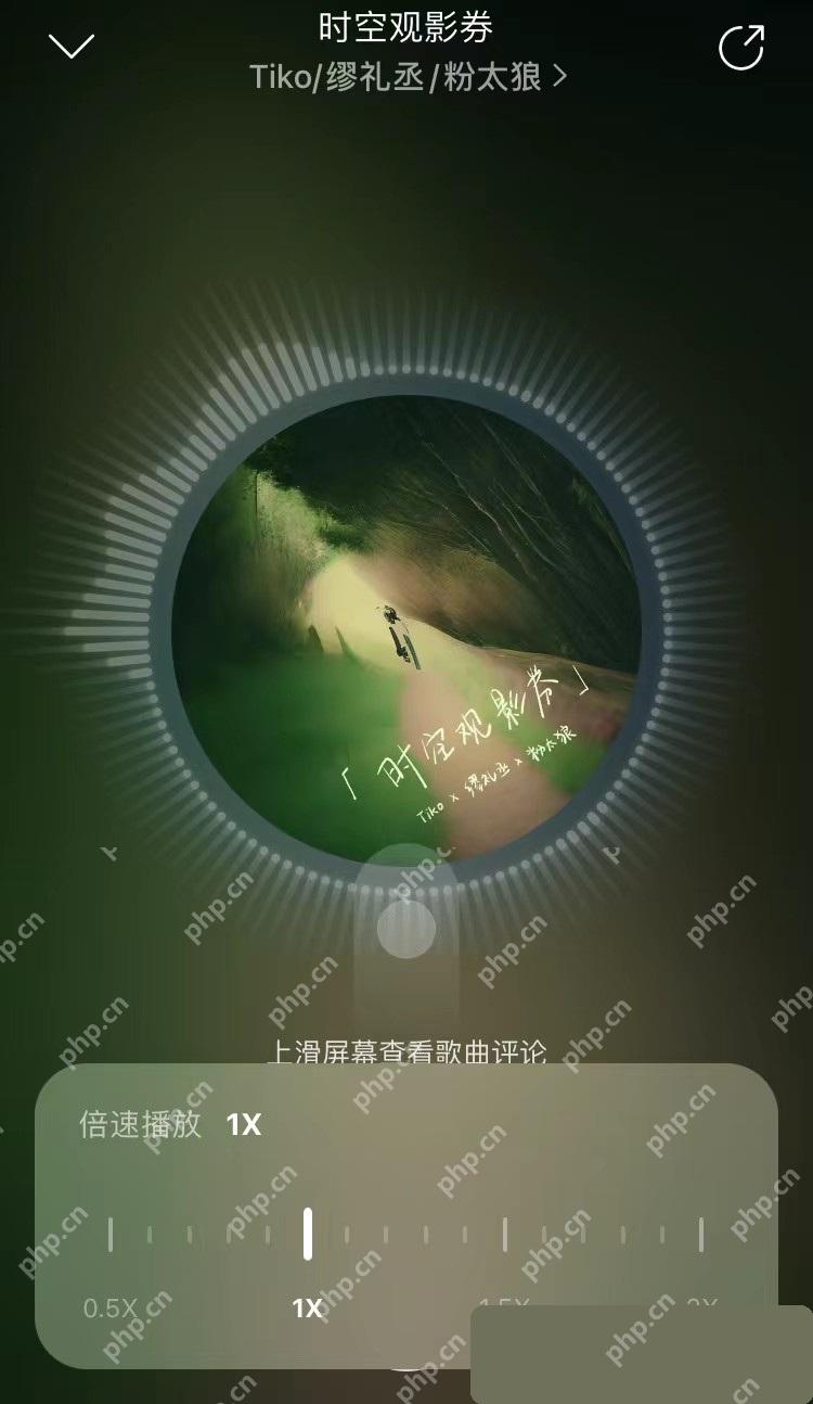 网易云音乐app怎么调整播放速度步骤图3