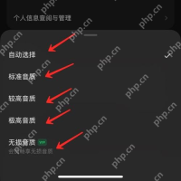 汽水音乐iPhone 音质列表中的自动标准较高极高和无损选项
