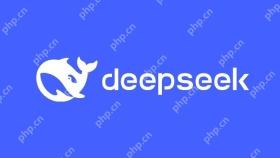 DeepSeek官方软件封面