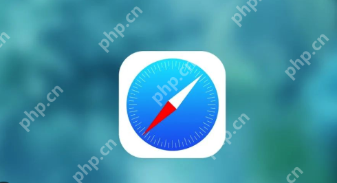 Safari PDF在线预览空白怎么办? 如何启用PDF插件? - php中文网