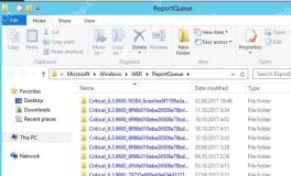 文件资源管理器打开 Windows WER ReportQueue 文件夹