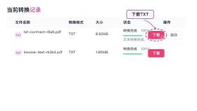下载转换后的TXT文件