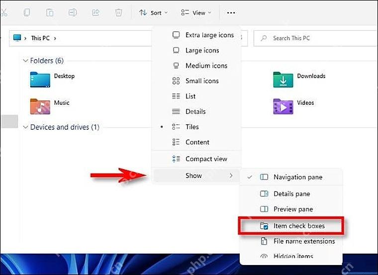 Win11 文件资源管理器查看显示菜单中的 Item check boxes
