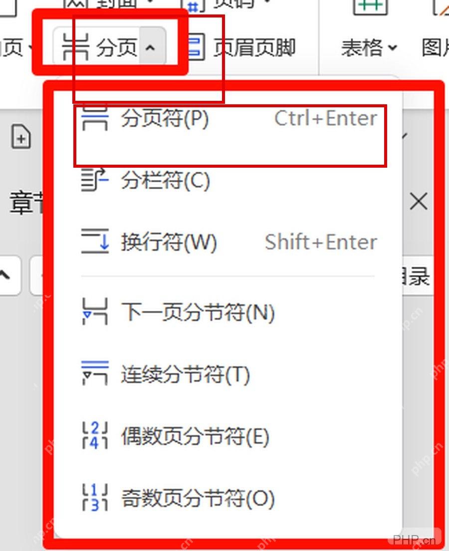 WPS 分页菜单中分页符选项和 Ctrl Enter 快捷键