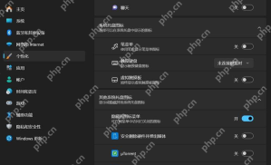 Windows 11 任务栏设置中的其他系统托盘图标列表