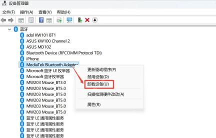 设备管理器中卸载旧的 Bluetooth 设备记录