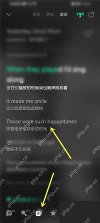 QQ音乐歌词翻译显示后的页面