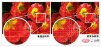 1.webp.jpg