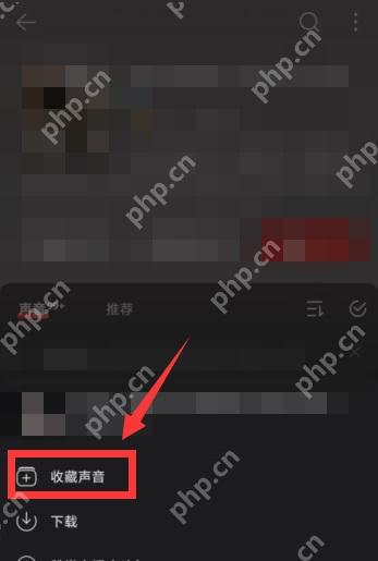 网易云音乐app怎么订阅播客节目步骤图3