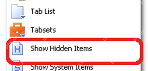 XYplorer 可选工具栏按钮列表中的 Show Hidden Items。