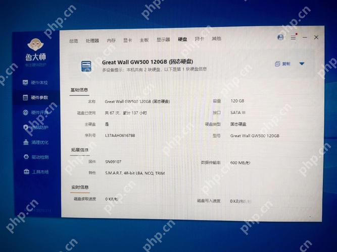 Windows 中文鲁大师磁盘参数页显示另一块硬盘的完整型号和容量,证明可以继续在磁盘页核对硬盘型号