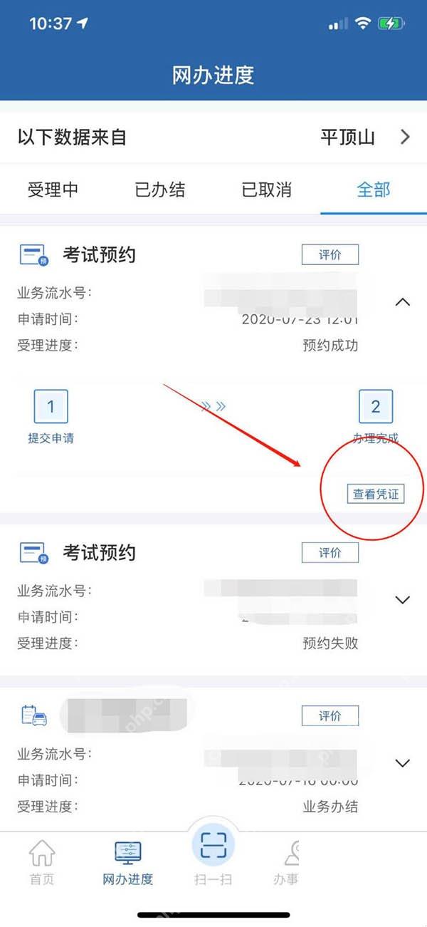 交管12123网办进度业务详情