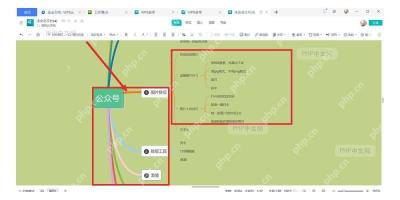WPS思维导图工作区中检查粘贴后的主题文字和分支内容