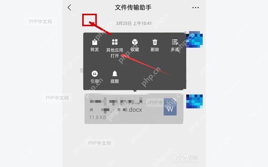 WPS 文档中插入图片后的结果界面