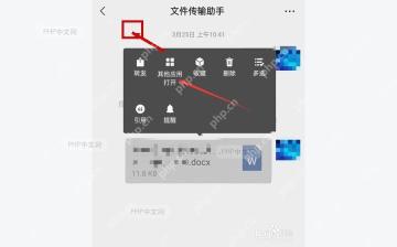 WPS 文档中插入图片后的结果界面