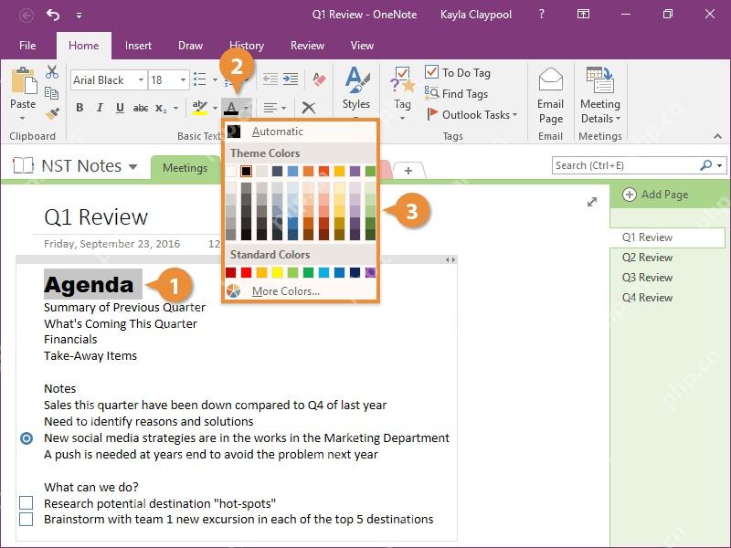 OneNote 字体颜色面板和色块,用来修改选中文字颜色
